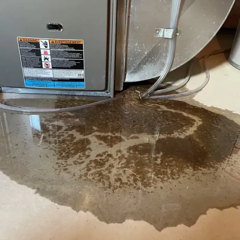 Appliance Leak Cleanup in Potosi, TX